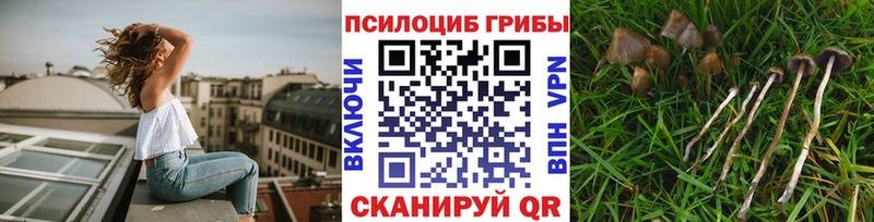 Псилоцибиновые грибы мухоморы  Купить где  Юхнов 