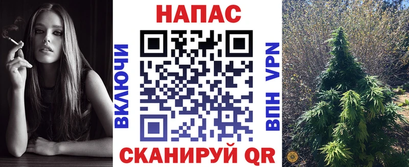 Бошки марихуана конопля  Купить закладки  Юхнов 